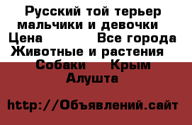 Русский той-терьер мальчики и девочки › Цена ­ 8 000 - Все города Животные и растения » Собаки   . Крым,Алушта